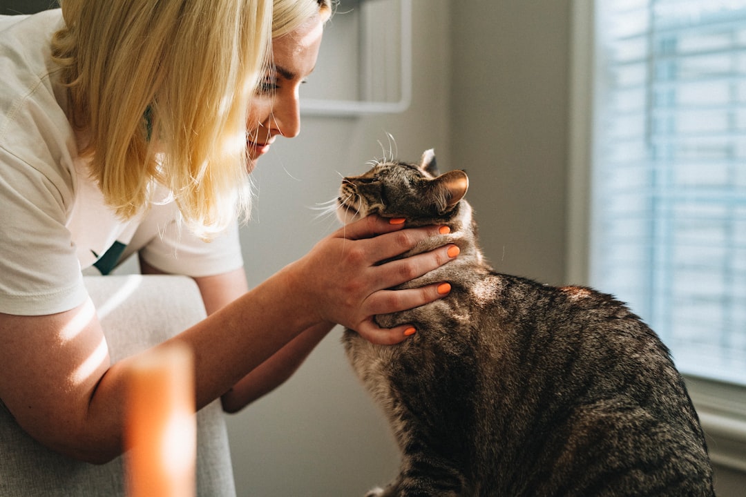 woman-in-white-shirt-holding-brown-tabby-cat-pr6blqs0ywa